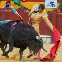 4da08abd-cc65-4fe0-a314-5ade11658f16_16-9-discover-aspect-ratio_default_0-1024x576